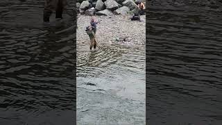 I really caught a huge salmonI ❤️ salmon fishing Vedder river Canada 🇨🇦 11 [upl. by Kanal]