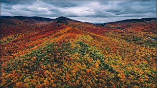 Adirondack Autumn Foliage 4K [upl. by Enitsirhk]