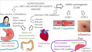 Understanding NonSteroidal AntiInflammatory Drugs NSAIDs in 3 minutes [upl. by Bogey]