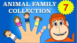 Finger Family Collection  7 Animal Finger Family Songs  Daddy Finger Nursery Rhymes [upl. by Wiley]