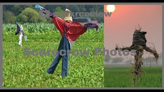 Scarecrow  Scarecrow Photos  Halloween  Zack [upl. by Ahcsrop]