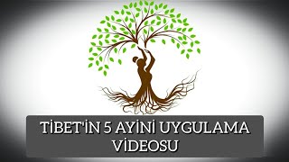 quotTibetin 5 Ayini Uygulama Videosuquot  Harika BirCan [upl. by Oriana]