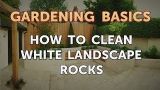 How to Clean White Landscape Rocks [upl. by Kirrad]