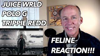 PSYCHOTHERAPIST REACTS to Juice Wrld Feline ft Polo G and Trippie Redd [upl. by Wesla]