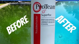 How To Clear Up A Cloudy Pool  How To Use Flock  Flocculant [upl. by Joiner]