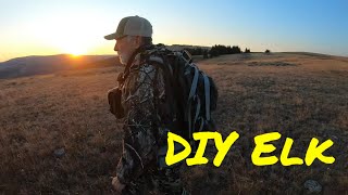 DIY Archery Elk Hunt  Wyoming 2024 [upl. by Merridie956]