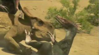 A Epic Battle of Velociraptor vs Protoceratops [upl. by Udale]