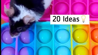 20 Fun Things To Do With Pet Mice [upl. by Duntson]