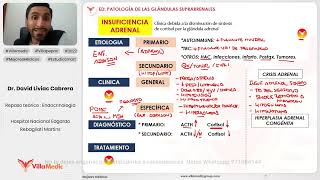 PATOLOGÍA DE LAS GLÁNDULAS SUPRARRENALES PARTE 2  ENDOCRINOLOGÍA  VILLAMEDIC [upl. by Lrae974]