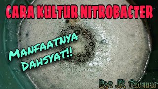 CARA KULTUR NITROBACTER [upl. by Bull]