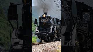 【4K縦動画】C58363 門鉄デフ！秩父鉄道・SLパレオ 樋口ストレート ChichibuRailway Steam locomotive Class C58 quotPALEO EXPRESSquot [upl. by Xad]