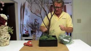 Manzanita Branch Centerpieces HowTo 1 [upl. by Adiuqram598]