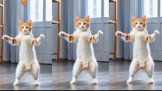 💃😻Funny Cats Dancing video 😻Grooving to Viral Music💃dancingcat catvideos funny furrycornerz [upl. by Kimberley]