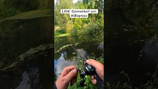 Hecht livebiss auf 2€ Spinnerbait😁 Part 23 hecht livebiss hechtangeln raubfisch angeln esox [upl. by Eiderf]