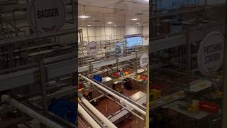 Cheese Factory Tillamook Creamery OR USA [upl. by Cirre]