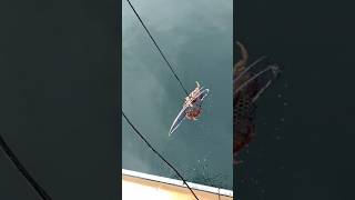 Winter crabbing at Edmonds WA [upl. by Files]