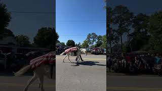 2024 Benson Mule Days Parade shorts [upl. by Kerrison988]