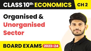 Organised and Unorganised Sector  Sectors Of The Indian Economy  Economics  Class 10th 202324 [upl. by Yrekcaz377]