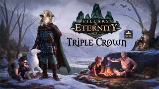 PoE24 Pillars of Eternity Triple Crown Lets play  An audience with Raedric [upl. by Eran]