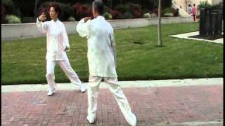 Two people mirror Tai Chi form 8 [upl. by Hgeilhsa]