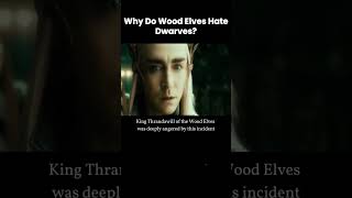 WHY DO WOOD ELVES HATE DWARVES movie trendingshorts viralshort fyp [upl. by Fishback]