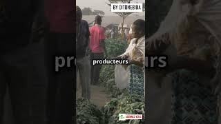 Lagriculture moderne en Afrique agriculture farming shortsvideo [upl. by Stephenie76]