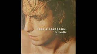 Fedele BoccassiniLe Foglie 1995 [upl. by Sauls]