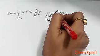 Ozonolysis Class 11 Chemistry Chapter 13 Hydrocarbon [upl. by Yenots]