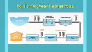 Coagulation Flocculation [upl. by Uella]