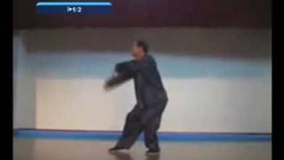 Yongjia by Sim Pooh Ho in slow motion [upl. by Sidon]