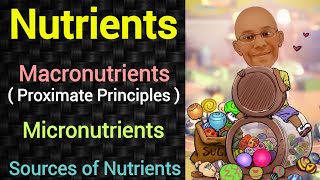 Nutrients  Proximate Principles  PSM lecture  Community Medicine lecture  PSM made easy [upl. by Brewer224]