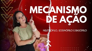 Leucócitos  mecanismo de ação do Neutrófilo Eosinófilo e Basófilo leucocito sangue biomedicina [upl. by Faubert]