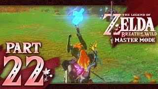 The Legend of Zelda Breath of the Wild Master Mode  Part 22  Akkala Blue Flame [upl. by Taima556]