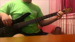 Łzy  Agnieszka bass cover [upl. by Nylirad]