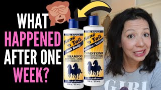 HAIR LOSS SUFFERER REVIEWS MANE AND TAIL SHAMPOO  CONDITIONER BEFORE and AFTER and TRUTHS 2020 [upl. by Prudy]