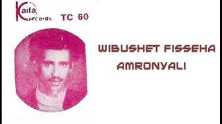 Wubshet Fisseha – Amronyali Full Album 1985 [upl. by Nesyt290]