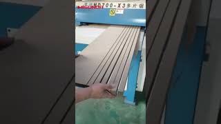 Misunda Multi Cutting Wood Multi Blade Rip Saw Machine for Wood Board Panel Plank [upl. by Kira]