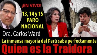 EL PERÚ ENTERO SE LEVANTA PARA RECUPERAR SU DEMOCRACIA Y EL ESTADO DE DERECHO [upl. by Barris12]