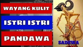 Wayang Kulit  Istri Istri Pandawa [upl. by Kathie]