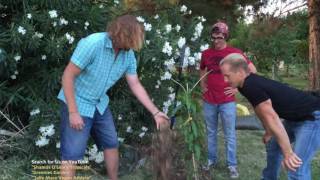 How to Plant a Tropical Fruit Tree [upl. by Ysied]