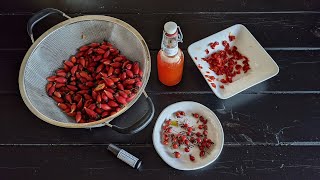 All About Rosehips  harvesting amp preparing for syrup amp tea [upl. by Gromme132]