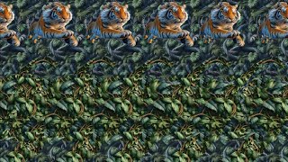 Animal Attraction 🐱  3D Stereogram Illusions [upl. by Namrehs160]