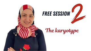 The karyotype Free sessions 2 [upl. by Nojram620]