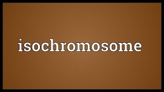 Isochromosome Meaning [upl. by Ayhtnic]