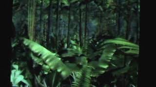 1992 cool mint listerine jungle vine swinging commercial [upl. by Roath465]