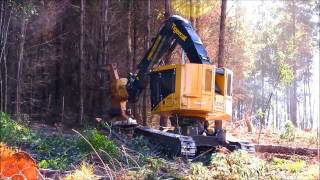 Feller Buncher Tigercat L830C [upl. by Grassi699]