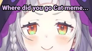 Shion late Cat Meme [upl. by Leisam]