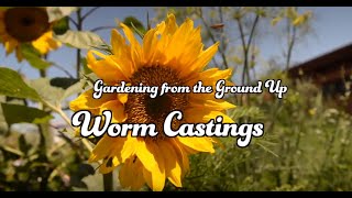 How to Garden with Worm Castings [upl. by Monahon]