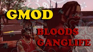 GMOD DARKRP BLOOD LIFE [upl. by Neuburger661]