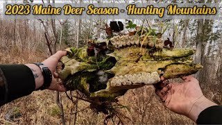 2023 Maine Deer Season  Nov 17th [upl. by Ativoj]